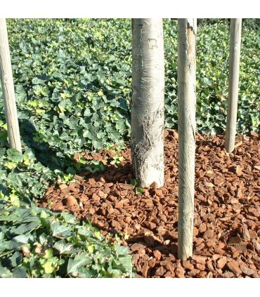 Paillage végétal biodégradable écorces de pin maritime, sac 50 L - KOM37