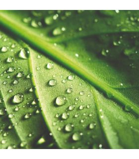 Terreau plantation Hydrasol, sac 40 l - PRO154