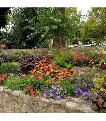 Terreau engrais fleurissement 48 sacs 50 l plantes vivaces et annuelles