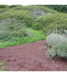 Paillage minéral en pouzzolane rouge 7/15 Big bag 1 m3 pour 20m2 Paillage minéral en pouzzolane rouge 7/15 Big bag 1 m3 pour 20m2