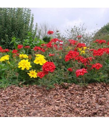 Fertilisant naturel en coque de cacao - sac de 100 litres pour 3m²