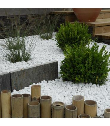 Paillage minéral Galet marbre blanc Carrare 40-60mm, sac 25 kg - F-PAI011