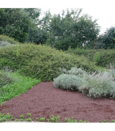 Paillage minéral en pouzzolane rouge 7/15 500 litres pour 10m2