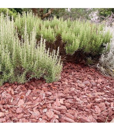 Paillage végétal biodégradable écorces de pin maritime 10 sacs 50 L pour 10m2