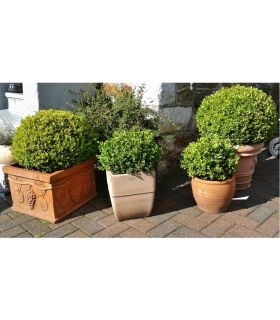 Substrat jardinières et bacs, sac 50 l - PRO11 Substrat jardinières et bacs, sac 50 l - PRO11