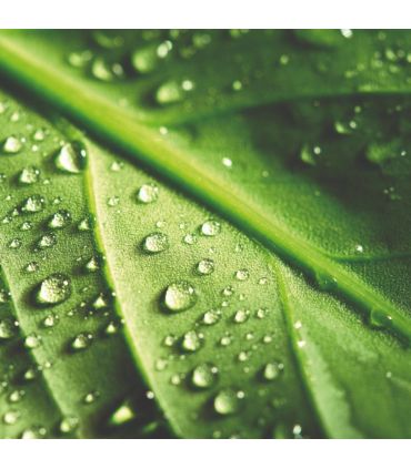 Terreau plantation Hydrasol, 54 sacs de 40 litres - PRO154-54x40