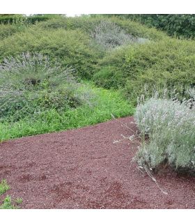 Paillage minéral en pouzzolane rouge 12/20 Big bag 1 m3 pour 20m2 Paillage minéral en pouzzolane rouge 12/20 Big bag 1 m3 pour 20m2