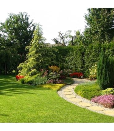 Terreau substrat pour regarnissage gazon pour sol sportif 48 sacs 20l - PRO447-48x20