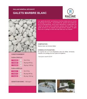 Paillage minéral Galet marbre blanc Carrare 40-60mm, 10 sacs 25 kg - F-PAI011-10x25 Paillage minéral Galet marbre blanc Carrare 40-60mm, 10 sacs 25 kg - F-PAI011-10x25