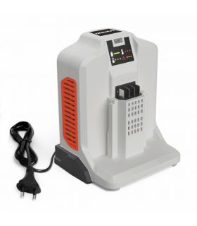 Chargeur rapide 62V 4A pour batterie DAEWOO DALCH62-4A