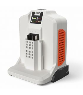 Chargeur rapide 62V 4A pour batterie DAEWOO DALCH62-4A Chargeur rapide 62V 4A pour batterie DAEWOO DALCH62-4A