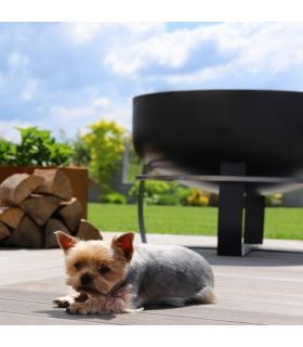 Braséro de jardin XXL VIKING 60cm de diamètre, acier naturel,CookKing, 111564 Braséro de jardin XXL VIKING 60cm de diamètre, acier naturel,CookKing, 111564