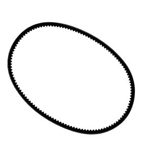 Courroie 10 x 816 tondeuse Texas Premium-5390TR 435679