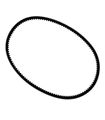 Courroie 10 x 816 tondeuse Texas Premium-5390TR 435679