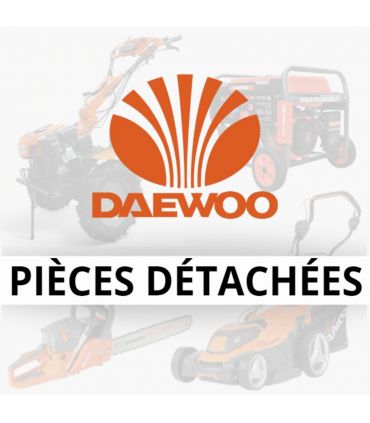 Composants du volant d'inertie tondeuse DAEWOO DLM5100SP DLM5100SP/P1/05/SP