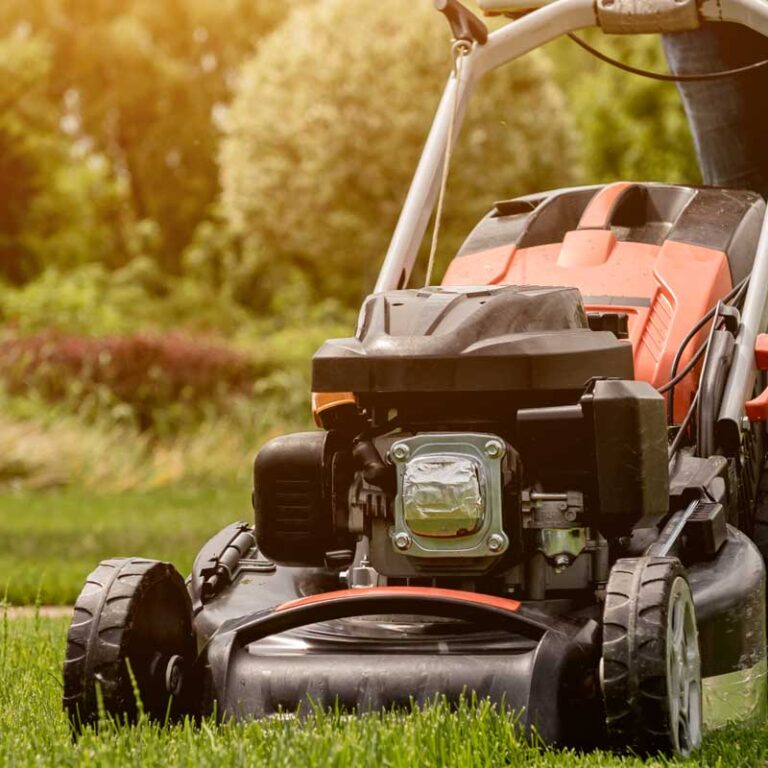 Comment vidanger sa tondeuse à gazon