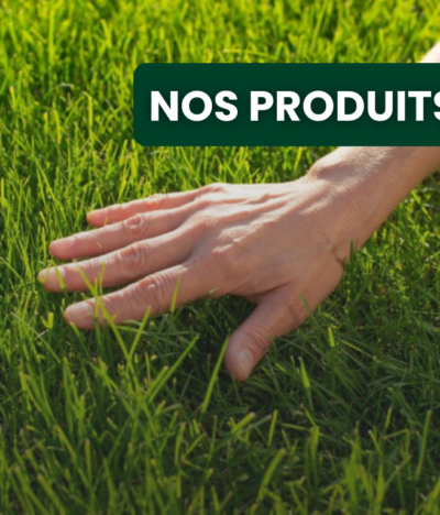 Quel choix de semence de gazon faire ? (Gazon de France)