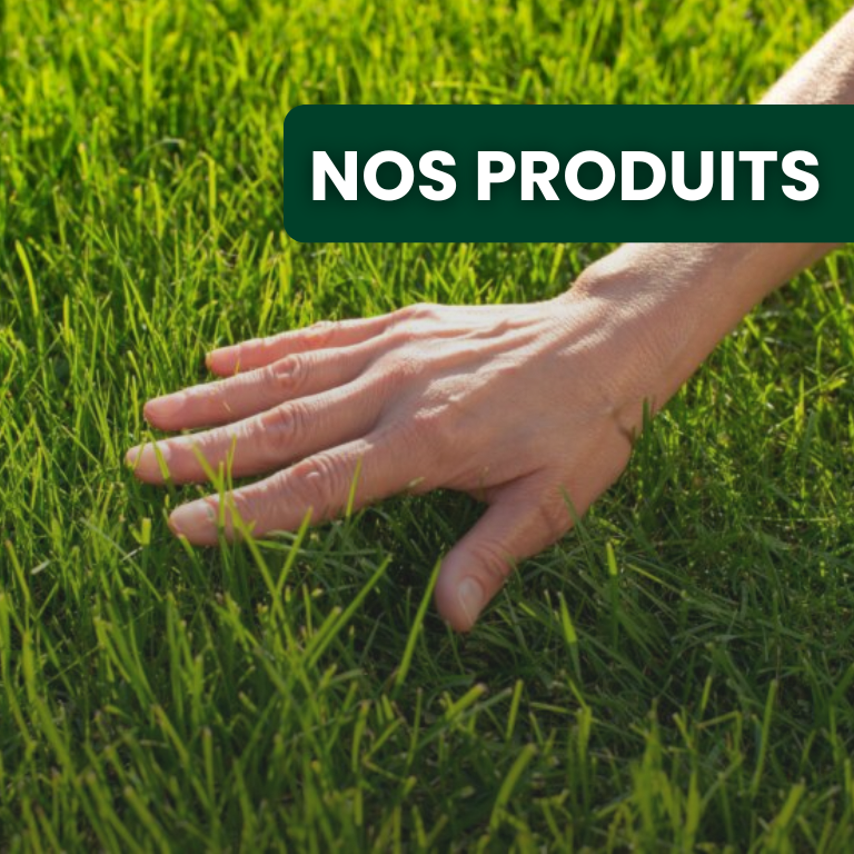 Quel choix de semence de gazon faire ? (Gazon de France)