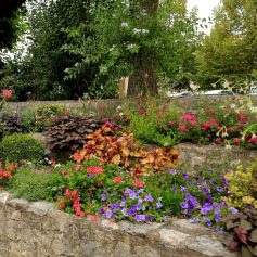 Terre et Terreau pour Jardin | Meilleurs Prix en Ligne