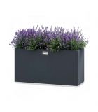 Jardinières et accessoires
