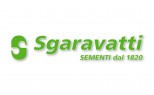 SGARAVATTI